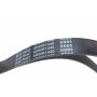 Ремінь генератора Citroen Berlingo/ Fiat Scudo 1.9D/ Ford Fiesta 1.3 95-03/ Hyundai Accent 1.5 02-05