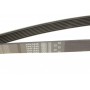 Ремінь генератора Nissan Patrol 3.0 DTi 00-/Honda Civic 2.2 01-