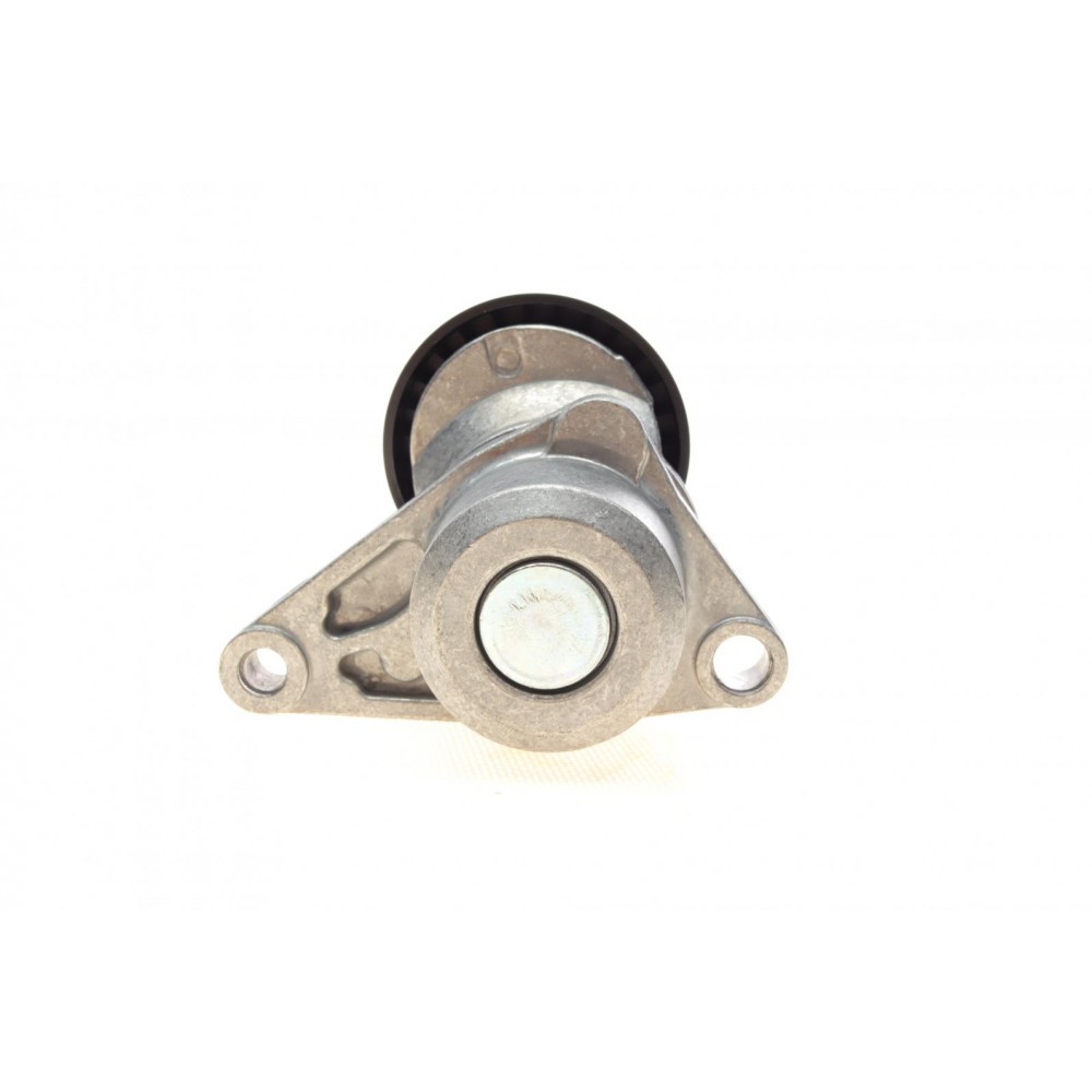 Натяжник ременя генератора Citroen C2/C3/C4/Peugeot 207/307 1.1-1.6 00-