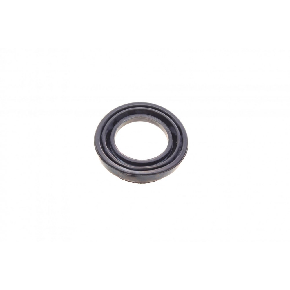 Ремкомплект супорта (заднього) Toyota Mark X 04-/Lexus IS 05- (d=43mm) (Aisin)