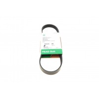Ремінь генератора Citroen Berlingo/Fiat Ducato/Peugeot Boxer/Expert 1.9 D/TD 96-03 (6PK730)