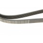 Ремінь генератора Audi A8 3.0i 03-06/Lexus GS/IS 3.0/3.5 00-11/Ford Fiesta 1.25-1.6 94-02 (6PK1930)