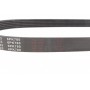 Ремінь генератора Citroen C4/ Peugeot 307 1.6HDi 04-/ Toyota Echo/ Yaris 1.0-1.3 99- (6PK780)