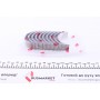 Вкладиші корінні Renault Clio 1.1/1.2i/Kangoo 1.4i (STD) (к-кт) = 6038050000