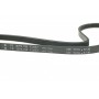 Ремінь генератора Mazda 3/6/CX-3/CX-5 2.0 11-
