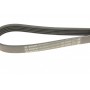 Ремінь генератора Fiat Ducato 2.5D/TD/TDI 94-02/Toyota Rav4 2.0 97-00/Audi A4/A5 12-15 (5PK1090)