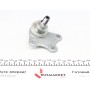 Опора кульова (передня/знизу/ззовні/R) Audi A2/Skoda Fabia/Roomster/VW Polo 99-10