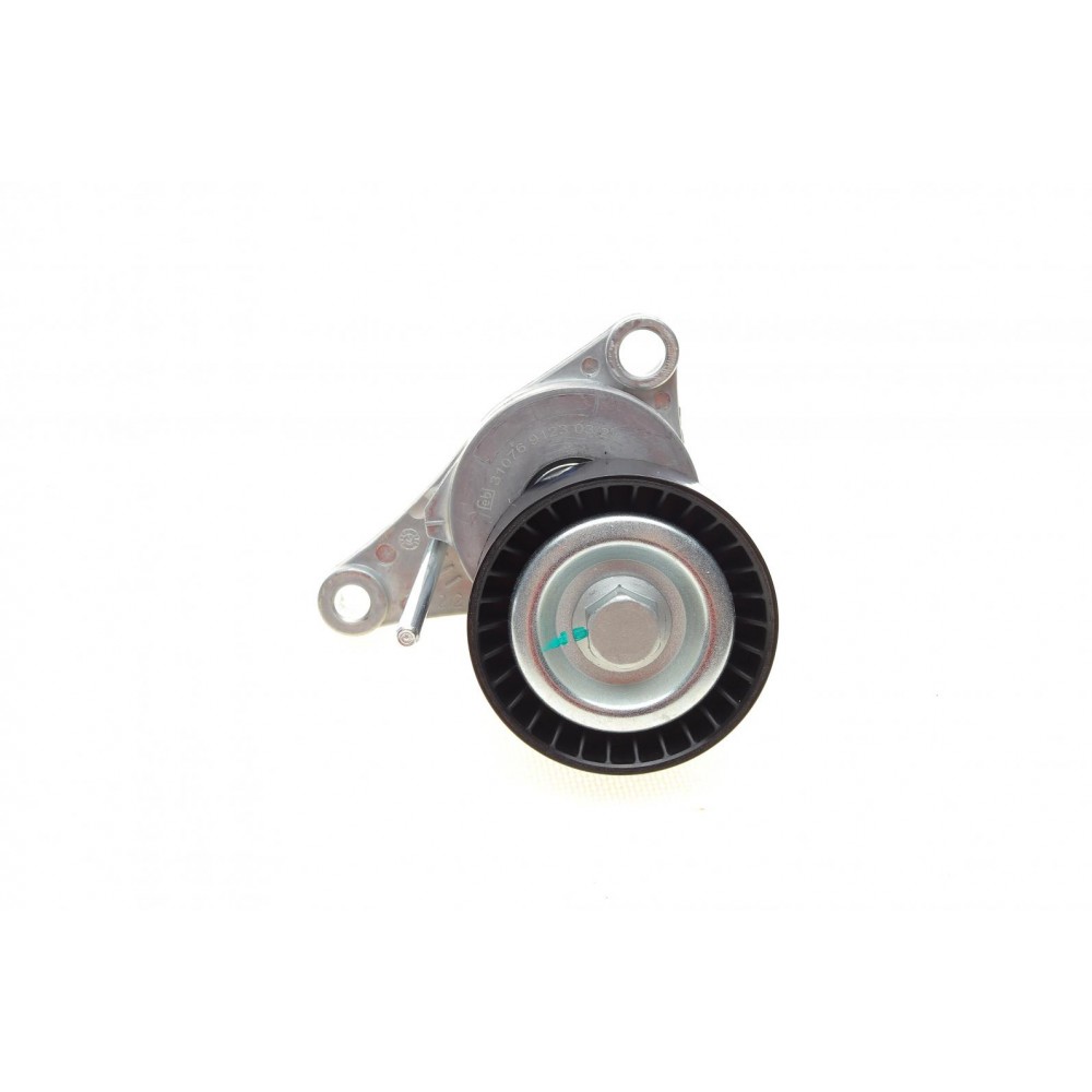 Натяжник ременя генератора Citroen C2/C3/C4/Peugeot 207/307 1.1-1.6 00-