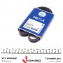 Ремінь генератора Honda Civic VI/Nissan Primera/Citroen Berlingo 1.4-1.6 16V 94-05 (4PK800)