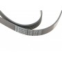 Ремінь генератора VW T4 2.5TDI/LT 2.3 96-06/MB C-class (W204) 3.5 11-/V-class (W639) 2.2CDI 10-