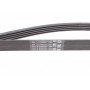 Ремінь генератора Opel Omega B 2.5DTI 01-03/Land Rover Range Rover 3.0D 02-12 (5PK2020)