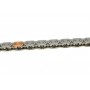 Комплект ланцюга ГРМ Audi A4/A6/A8/Q7/VW Touareg 2.7D/3.0D 03-11 (ланцюг + елементи) (симплекс)