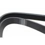 Ремінь генератора Fiat Scudo/Citroen Berlingo/VW Golf IV 1.8/1.9TDI 97- (6PK1660)