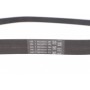 Ремінь генератора Audi A4/A5/A6 2.0 TDI 18-  (6PK1120)