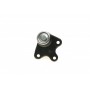 Опора кульова (передня/знизу/R) Skoda Fabia/VW Polo 1.2/1.9TDI 99-10
