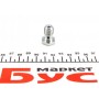 Болт Banjo (банжо) M12x1mm (17x24)