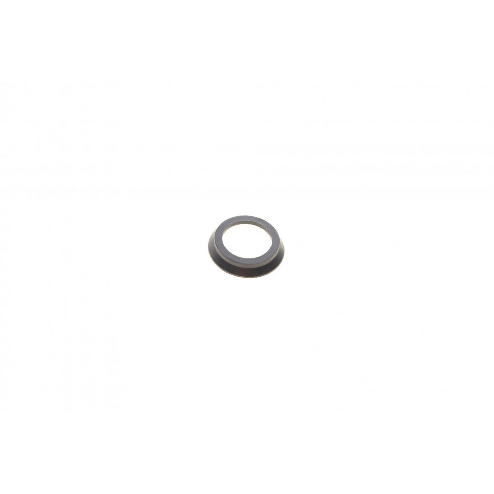 Ремкомплект супорта (заднього) Ford Transit 06-14 (d=48mm)(Bosch)(+1 поршень/направляюча) SuperKit