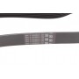 Ремінь генератора VW T4/Caddy 1.9D/TD 90-03/Toyota Corolla/Auris 1.4D 06-14/Kia Rio 1.25 17-