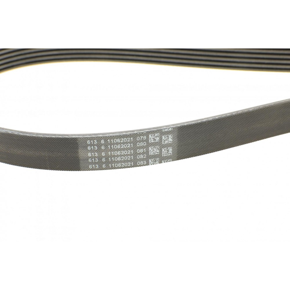 Ремінь генератора Renault Laguna 2.0 95-01/Audi A3 3.2 03-09/Ford Kuga 2.0TDCi 13-