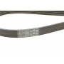 Ремінь генератора Renault Laguna 2.0 95-01/Audi A3 3.2 03-09/Ford Kuga 2.0TDCi 13-
