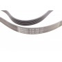 Ремінь генератора Opel Vectra/Astra G 2.0/2.2 DTI 00-05/Renault Koleos 2.5 08-