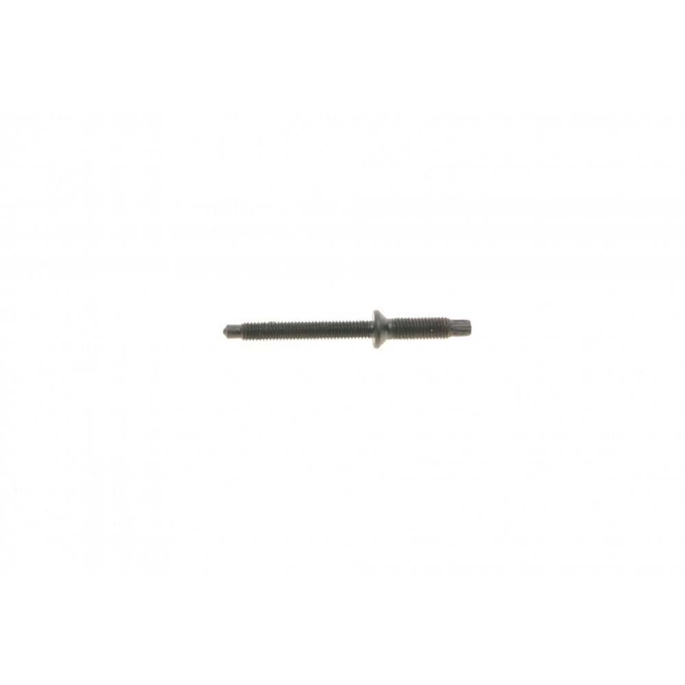 Болт кріплення форсунки Citroen Berlingo/Jumpy/Peugeot Expert/Partner 1.6 HDI 05- (к-кт 2 шт)