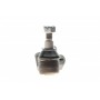 Опора кульова (передня/знизу/R) Toyota Camry 2.4-3.5 06-