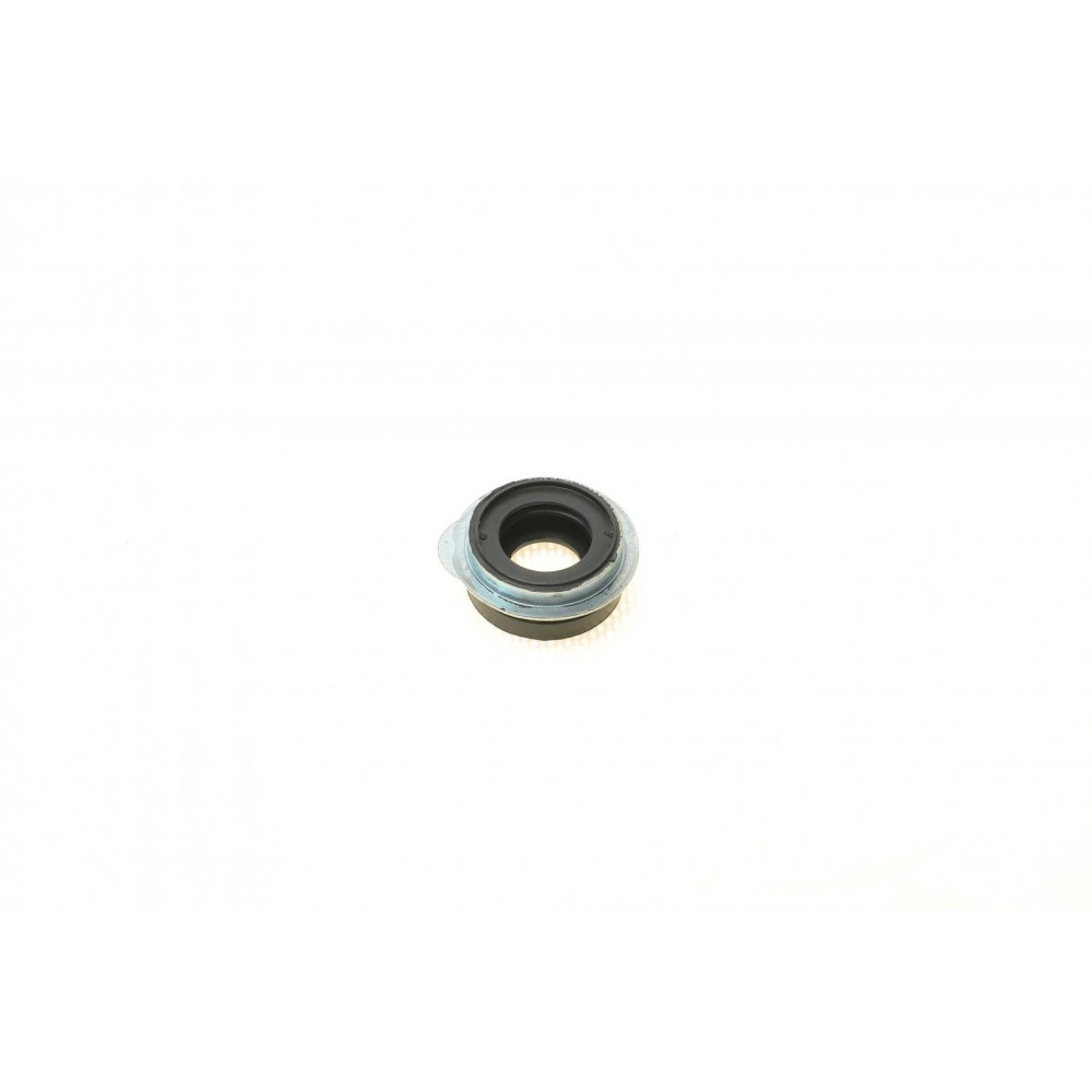 Ремкомплект супорта (заднього) Honda Accord VI 98-03 (d=34mm) (+поршень/направляюча)(Akebono)