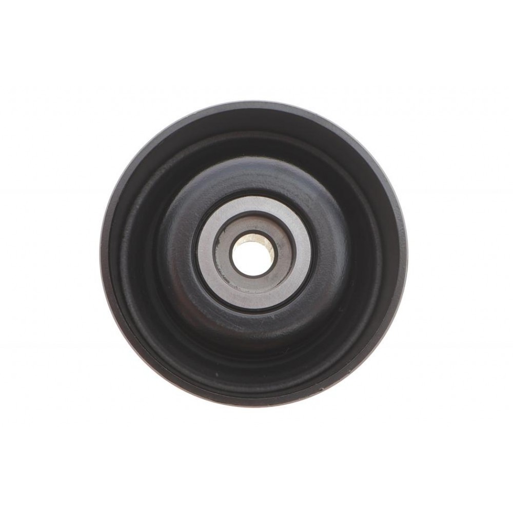 Ролик генератора Citroen Berlingo/Jumpy/Peugeot Expert/Partner 1.9D 98-08 (натяжний) (60x26)