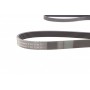 Ремінь генератора VW T4 2.4D/2.5/2.5TDI 90-03/Lexus GX 470 01-09