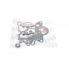 Ремкомплект насосу вакуумного Audi A2/A3/A4/A6/VW Golf/Ford Galaxy 1.4-1.9 TDI 00-10