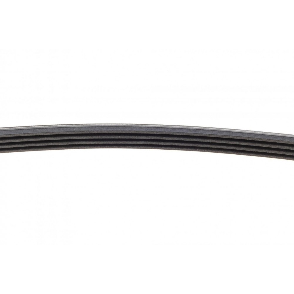 Ремінь генератора Honda Civic VI/Nissan Primera/Citroen Berlingo 1.4-1.6 16V 94-05 (4PK800)