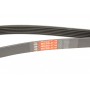 Ремінь генератора Peugeot 206/Partner/Citroen Berlingo/VW Polo 1.1-1.6 02-