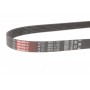 Ремінь генератора Citroen Jumper 1.9TD 94-02 (ALT,PS)
