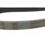 Ремінь генератора MB C-class (W202/W204)/E-class (W210/W212)/S-class (W221) 1.8/2.2 94-14
