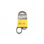 Ремінь генератора Mitsubishi Pajero 3.0 V6 90-00/ Chevrolet Matiz 1.0 05- (4PK954)