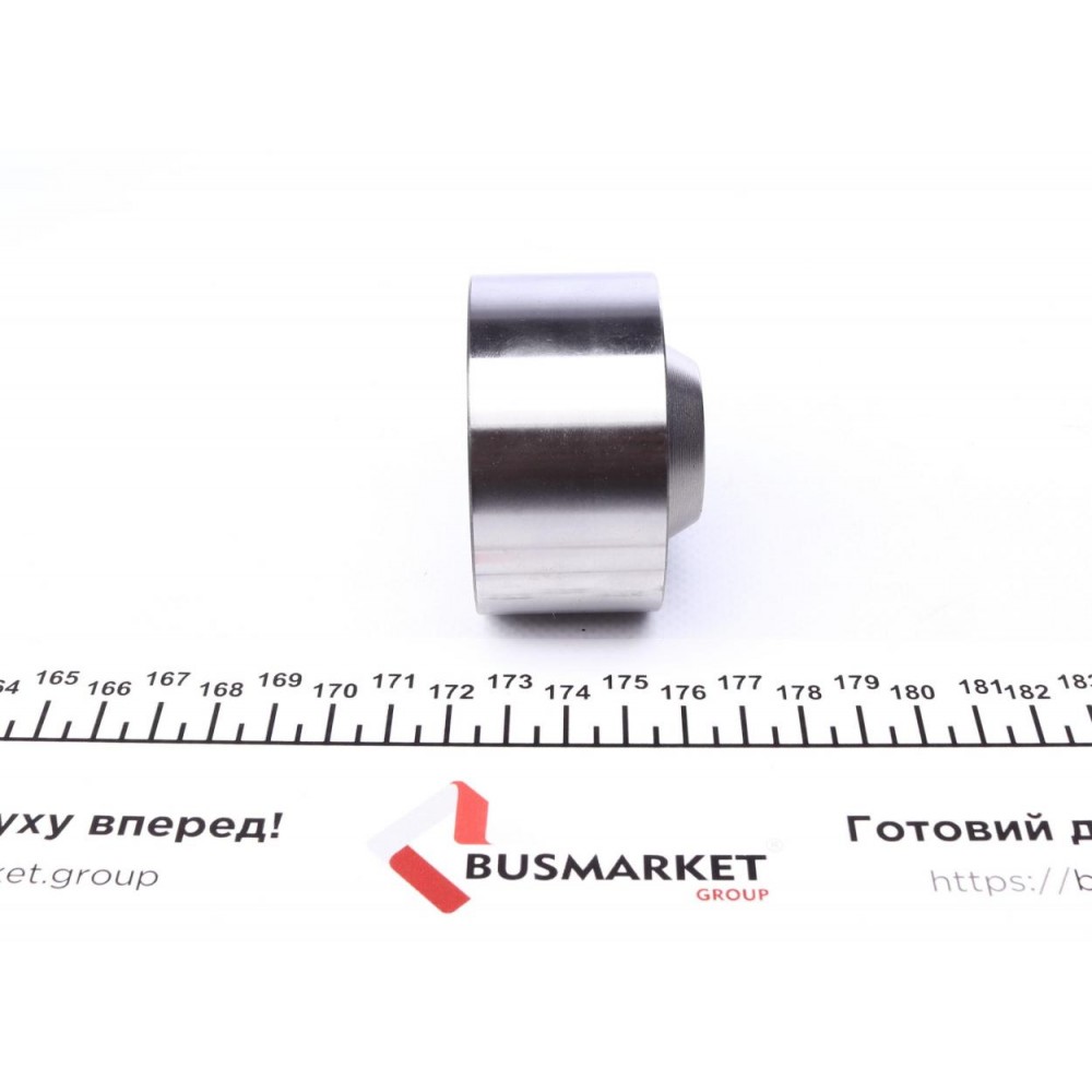 Ролик ГРМ Hyundai Santa Fe 2.4 01-06/ Mitsubishi Lancer/ Outlander 2.0 01-06 (паразитний) (60x32,1)