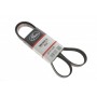 Ремінь генератора Ford Transit Connect 02-13/Focus 1.8 TDCi 99-05/Toyota Avensis 03-12/Corolla 01-07