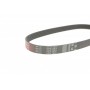 Ремінь генератора Mazda 626/Subaru Forester/Impreza/Legacy/Outback 89- (5PK683)