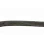 Ремінь генератора Jeep Cherokee/Liberty 2.5/2.8 CRD 01-