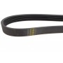 Ремінь генератора Citroen Jumper 2.0HDI (6PK1185)