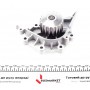 Помпа води Citroen C4/C5/C8/Fiat Scudo/Peugeot Expert/406/407 1.8/2.0/2.2 00- (20z)