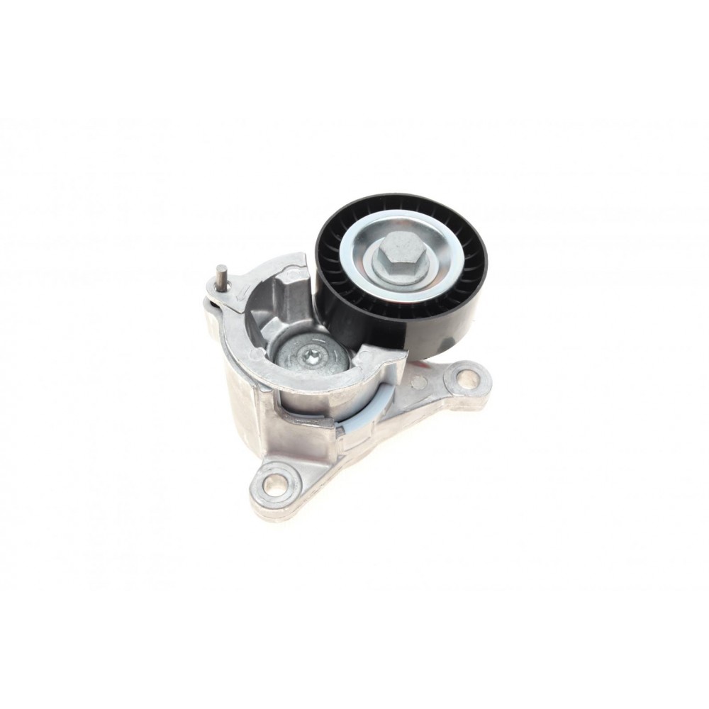 Натяжник ременя генератора Fiat Scudo 2.0 16V 00-06