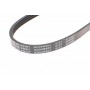 Ремінь генератора Nissan Primera 1.6 16V 96-02/ Honda Civic 1.4-1.6 94-01/ Suzuki SX4 1.5-1.6 06-