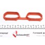 Прокладка колектора впускного BMW X5 (E53) 00-03, M62
