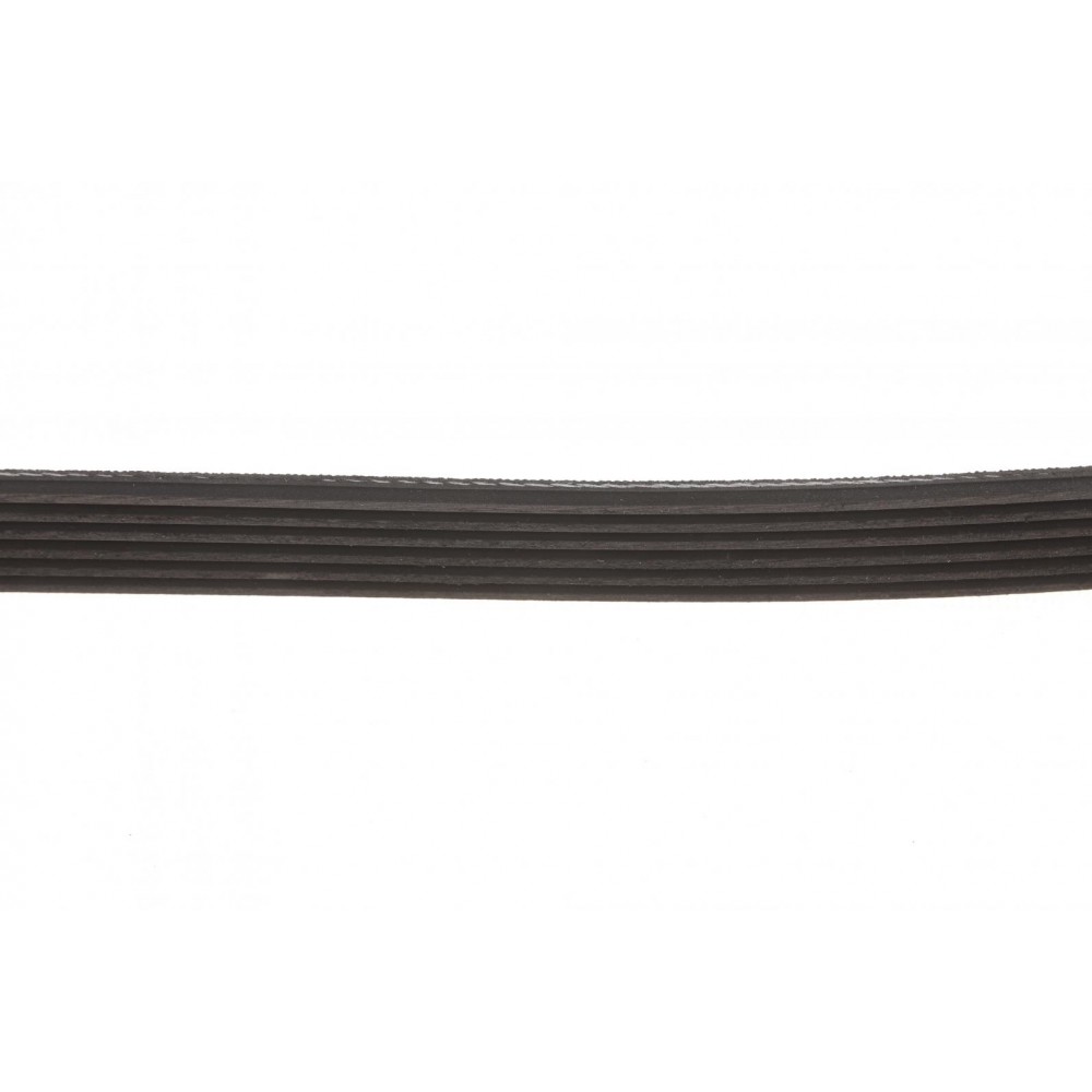 Ремінь генератора Citroen Jumper/Fiat Ducato/Peugeot Boxer 2.0/2.2HDi/JTD 02-