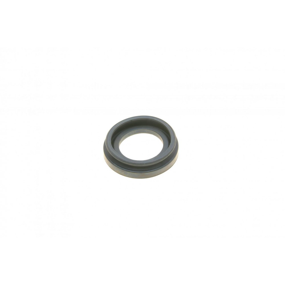 Ремкомплект супорта (заднього) Lexus GS 06-11 (d=38mm) (+ поршень) (Advi)