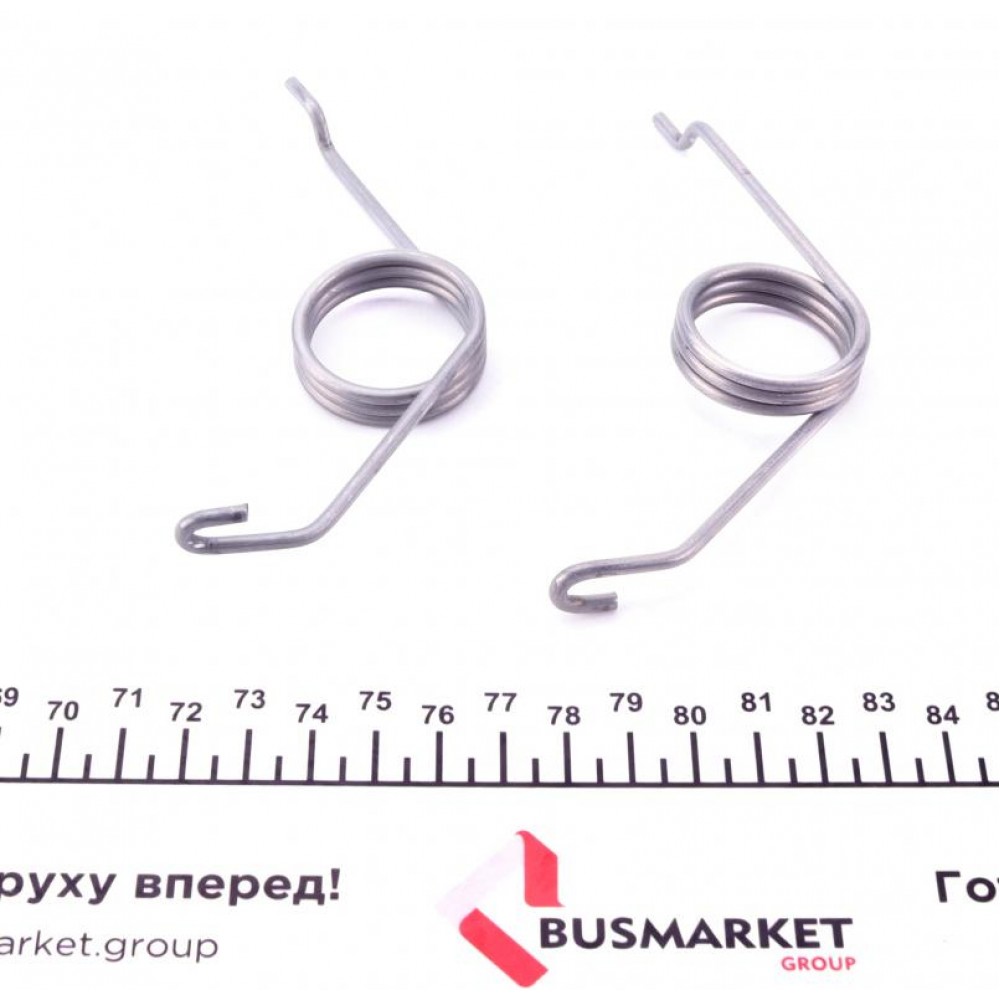 Пружини супорта (заднього) Audi A4/A6/VW Golf VI 94-13 (К-кт L+R)