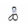 Ремінь генератора Land Rover Range Rover 3.6D 06-12/Range Rover Sport 2.7D 05-13 (8PK2510)