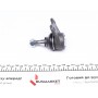 Опора кульова (передня/знизу/L) Audi A3/VW Golf IV -06